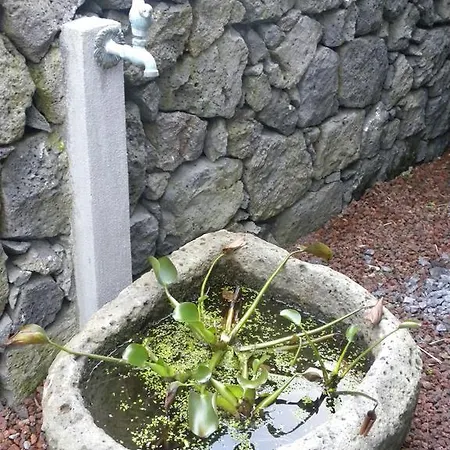 Holiday home Casa Alto Da Ladeira *