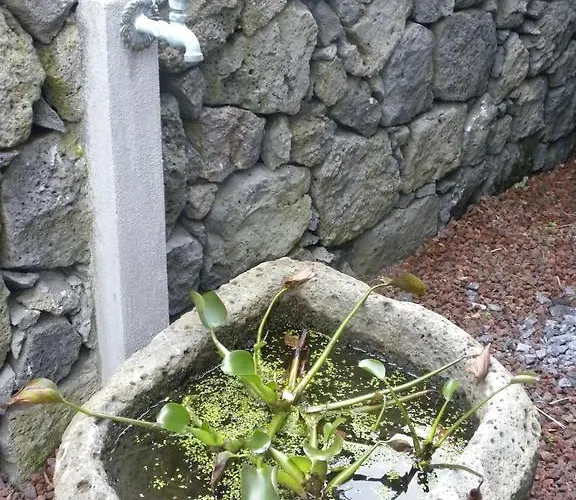 Ferienhaus Casa Alto Da Ladeira *